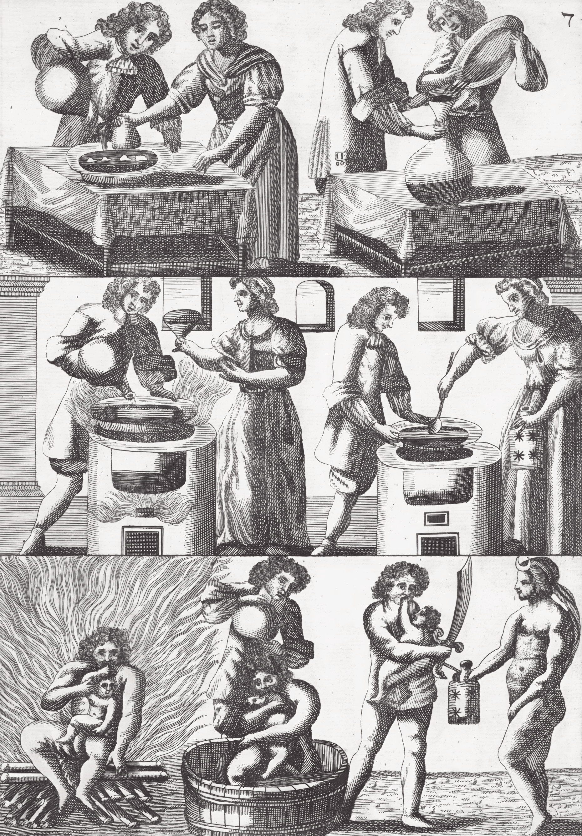 Mutus Liber - Plate 7